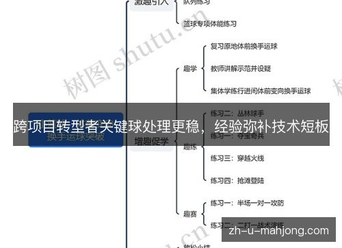 跨项目转型者关键球处理更稳，经验弥补技术短板